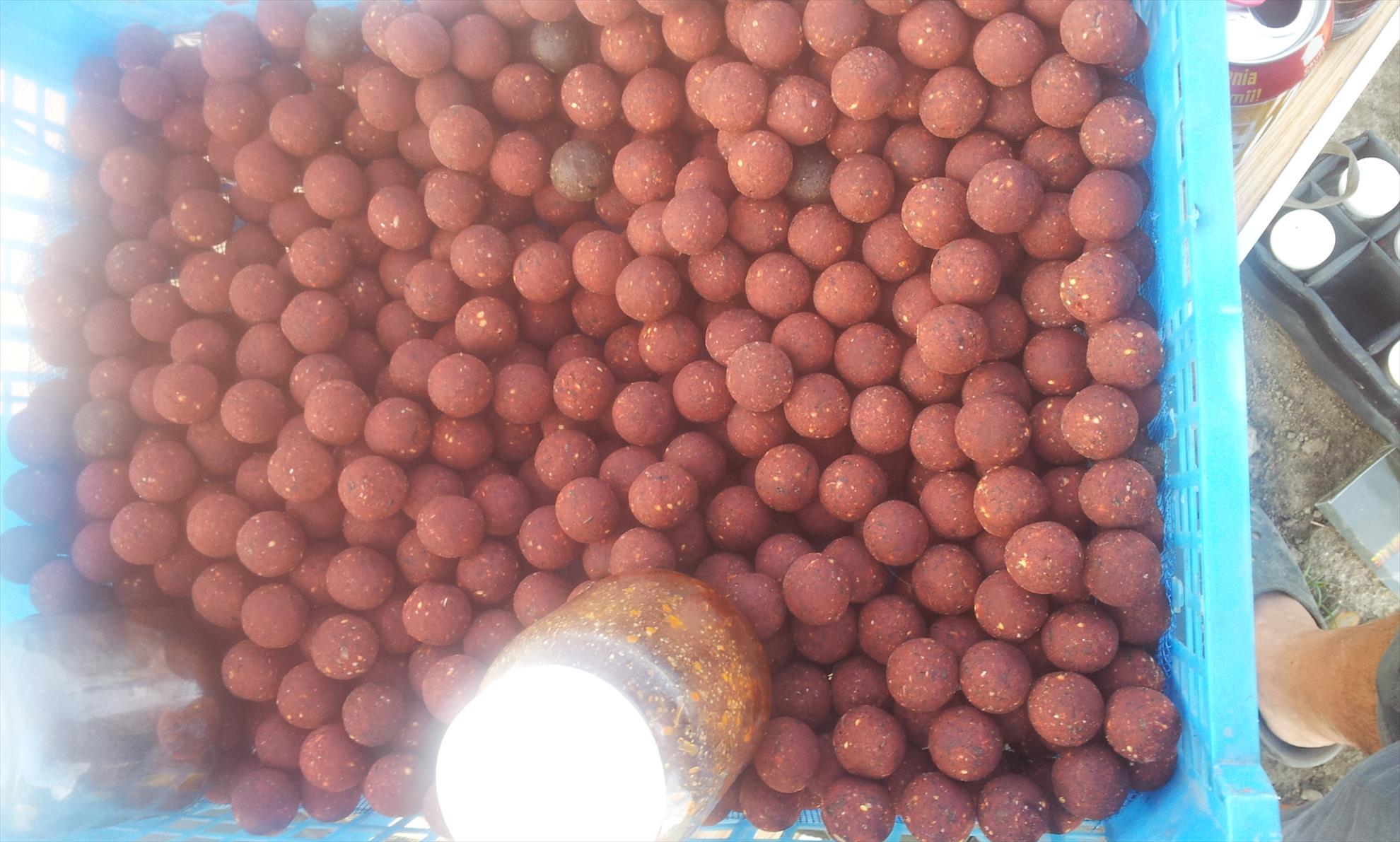 Hermes Peris 25 - 26 iulie 2014 - 20140726075819.jpg